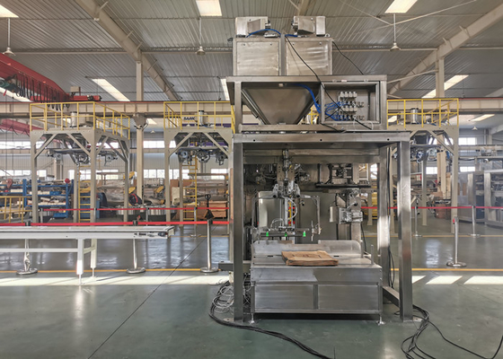 Pp Woven Bag Barley Grains Packing Machine With 304SS Hopper