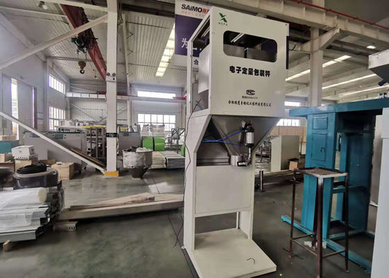Food Industry Granule Packing Machine With Platform , CPG Motor