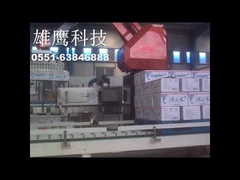 Carton palletizing robot 25 kg